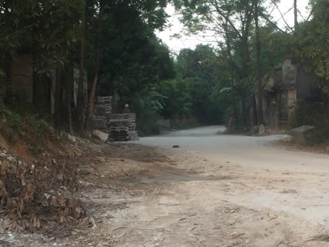 Việt Trì (Phú Thọ): đất trồng cây lâu năm “biến hóa” thành nhà xưởng.