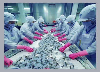 Hàn Quốc là thị trường tiềm năng cho xuất khẩu tôm Việt