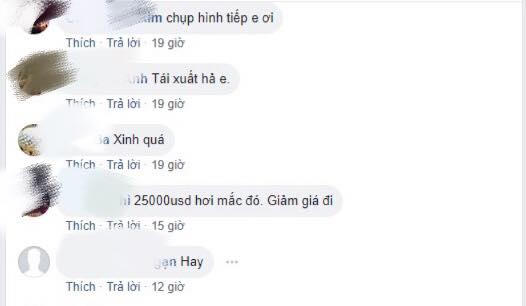 Thư Dung bất ngờ tái xuất sau nghi án bán dâm 25.000 USD