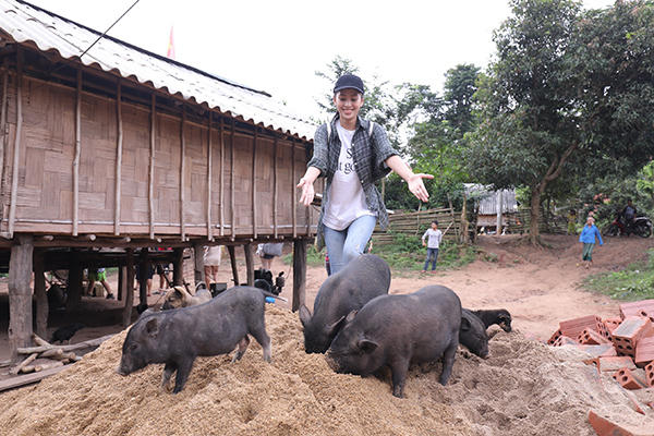 Hoa hậu Tiểu Vy lọt Top 5 dự án nhân ái, nắm chắc vé vào Top 30 Miss World