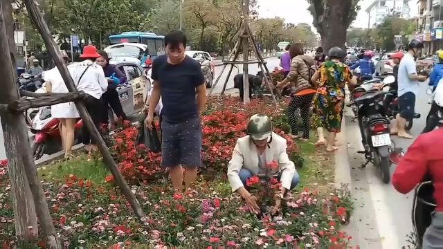 Người dân Hà Nội đổ xô lấy hoa sau thượng đỉnh Mỹ- Triều