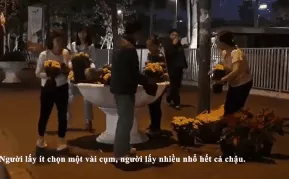 Người dân Hà Nội đổ xô lấy hoa sau thượng đỉnh Mỹ- Triều