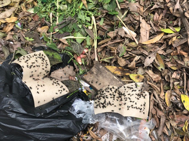 Kinh hoàng trước cảnh rác của khu đô thị Mỹ Đình 1 bủa vây trường học, chính quyền ở đâu?