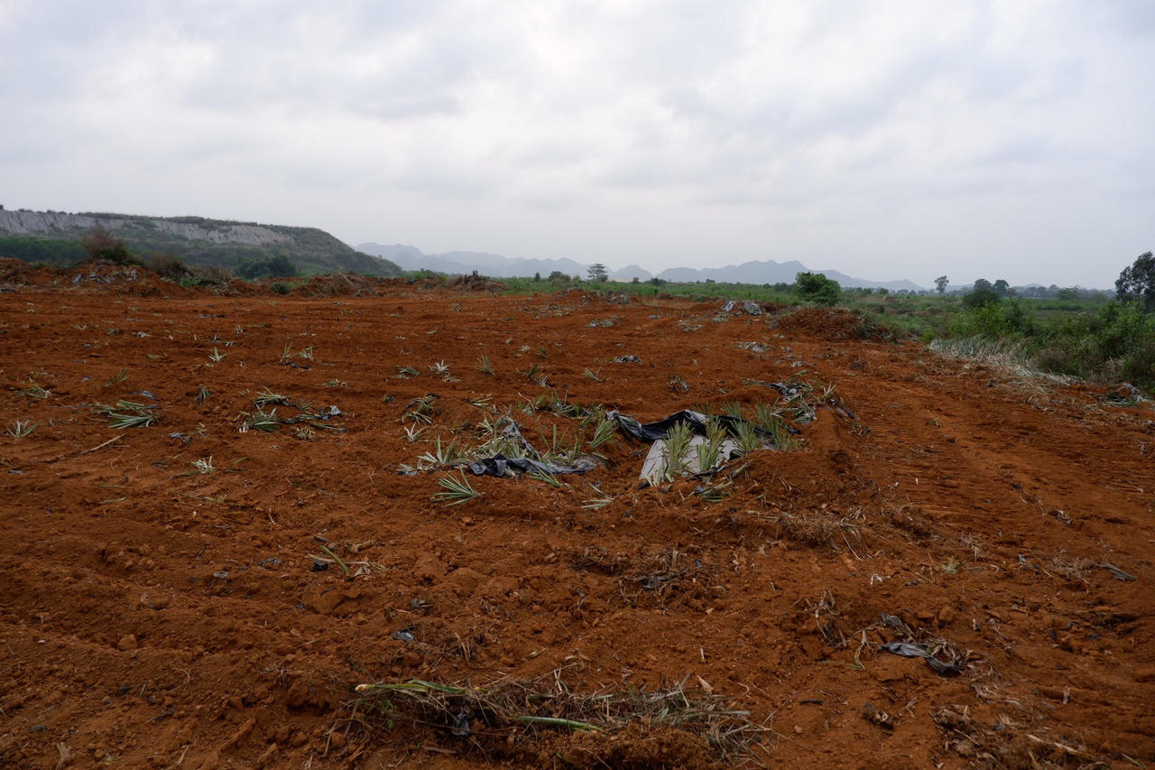 Gỡ nút thắt trong giải phóng mặt bằng dự án thành phần Mai Sơn - QL 45