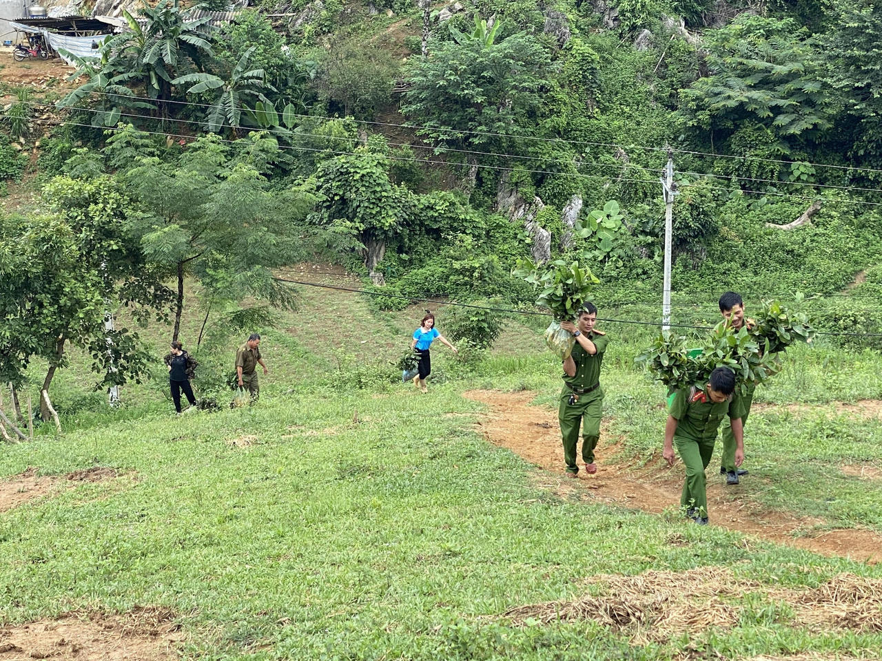Bình yên các bản làng vùng cao nguyên trắng Bắc Hà