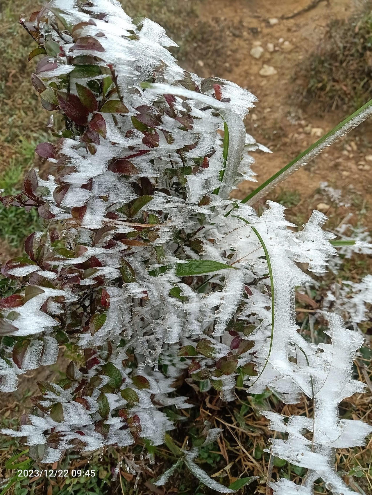Băng tuyết xuất hiện trên đỉnh Fansipan 