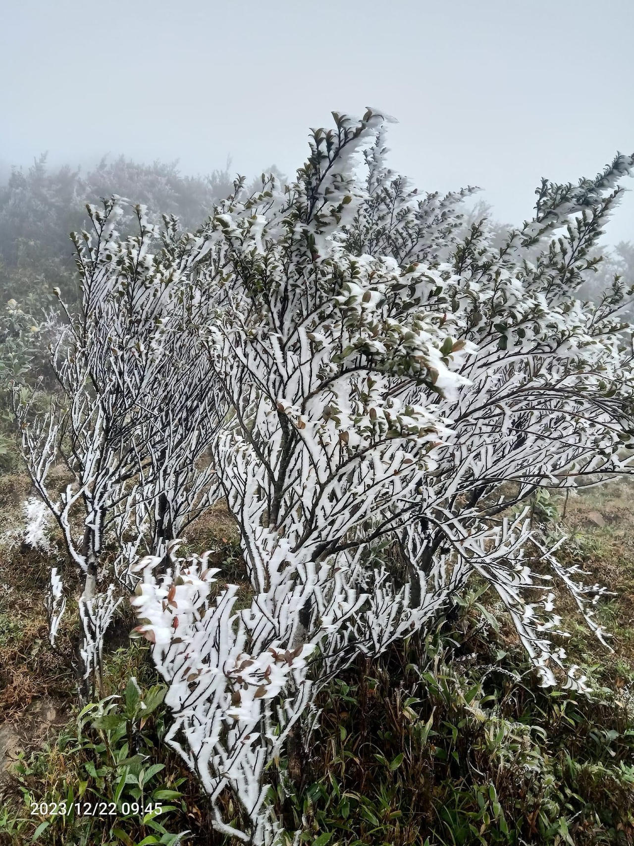 Băng tuyết xuất hiện trên đỉnh Fansipan 