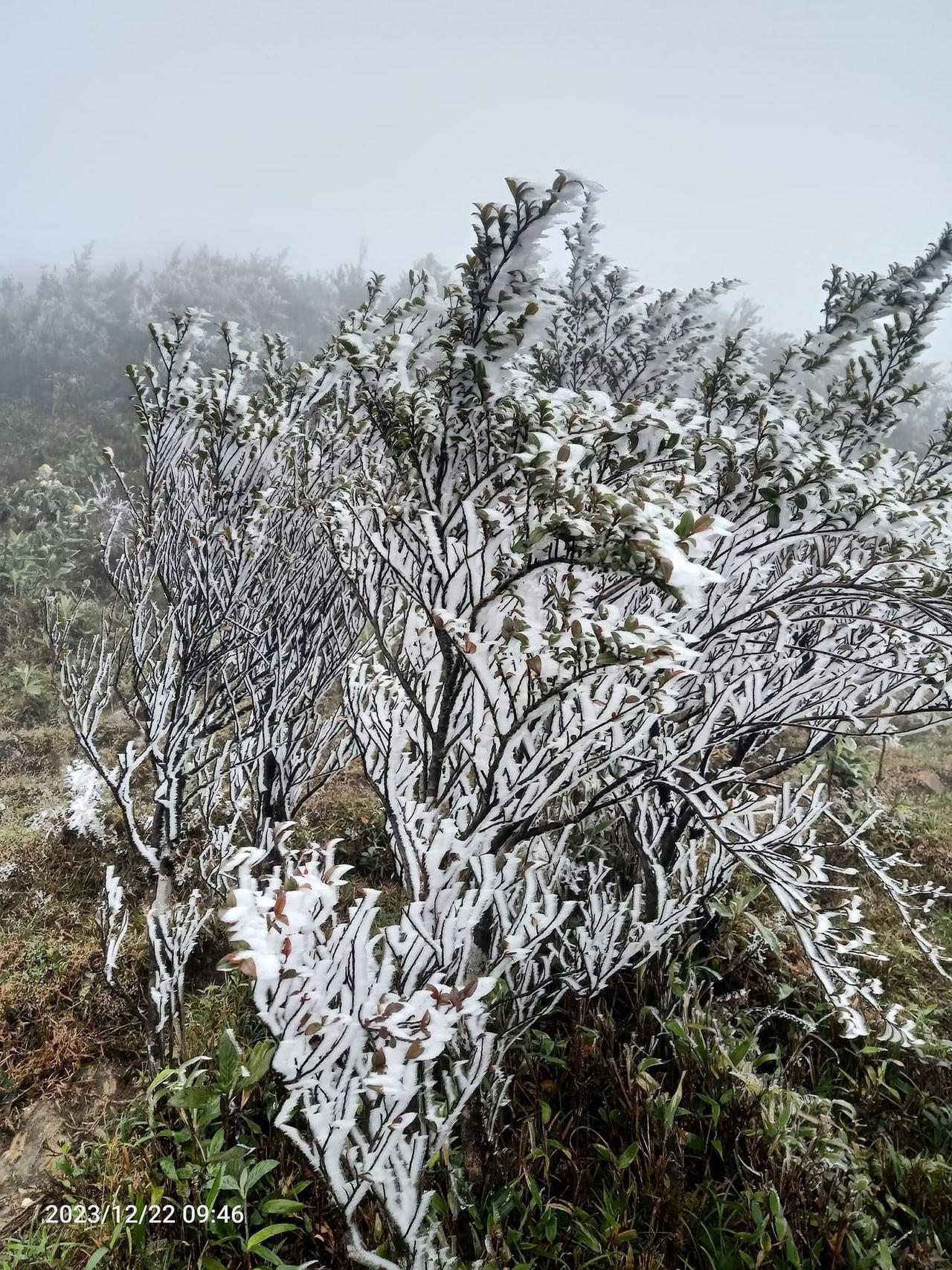Băng tuyết xuất hiện trên đỉnh Fansipan 