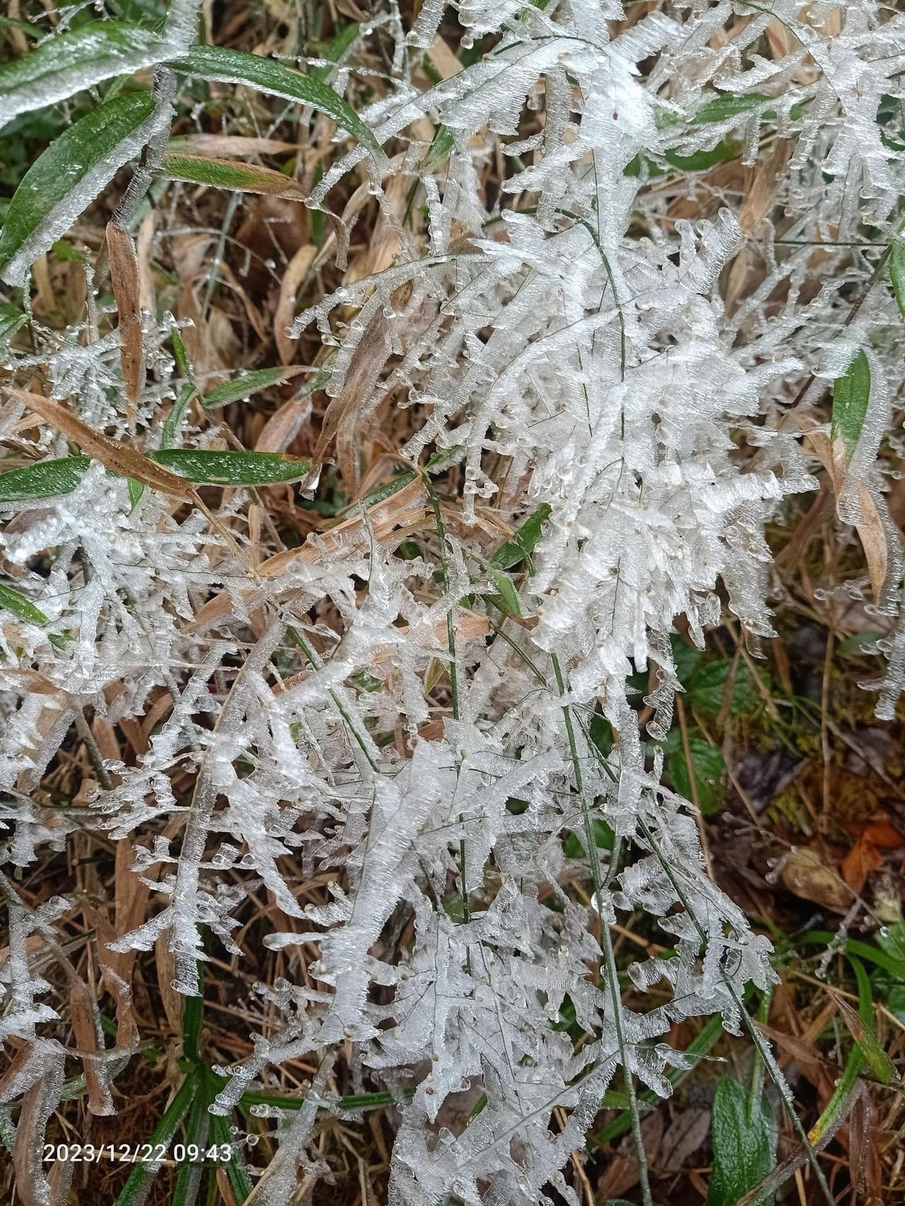 Băng tuyết xuất hiện trên đỉnh Fansipan 