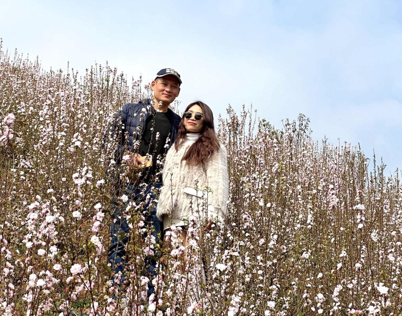 Hoa nhất chi mai phủ trắng triền núi ở Lai Châu