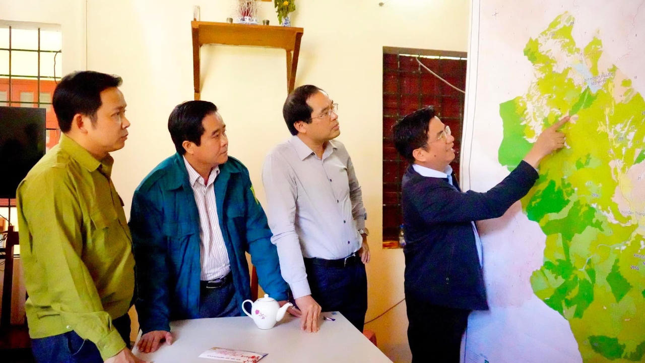 Lửa âm ỉ phức tạp tại 1 điểm rừng, Chủ tịch tỉnh Lào Cai tới hiện trường chỉ đạo chữa cháy 