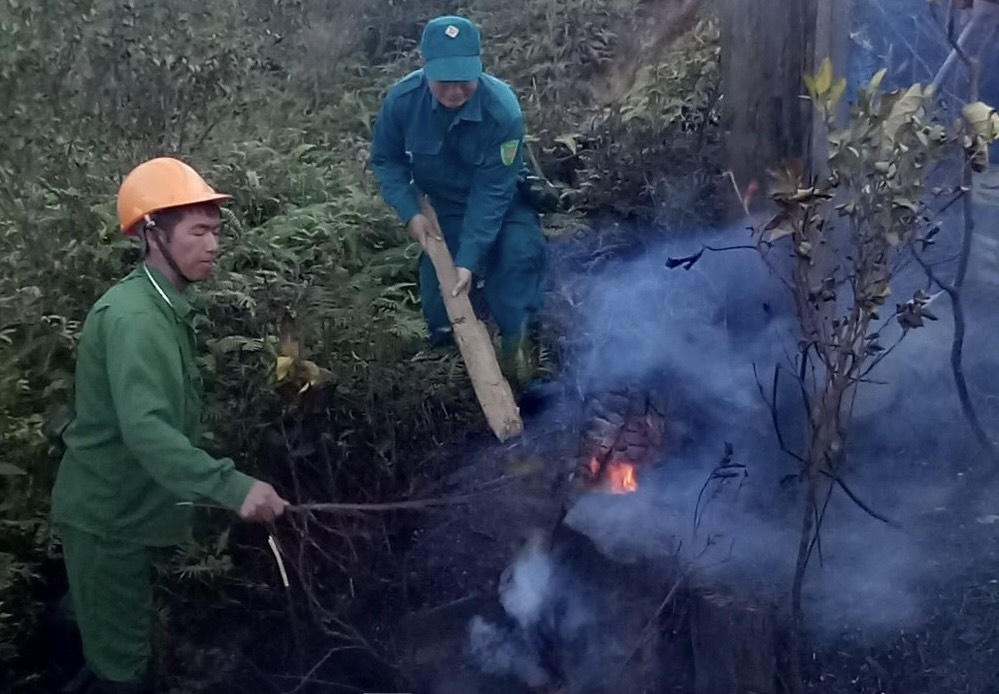 Hàng trăm người cứu rừng đang cháy tại Sa Pa