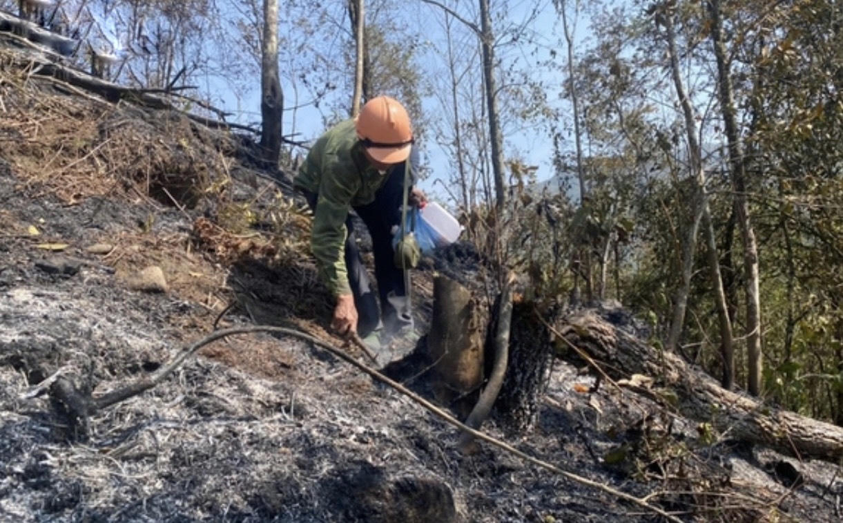 Đã dập tắt hoàn toàn cháy rừng tại Lào Cai