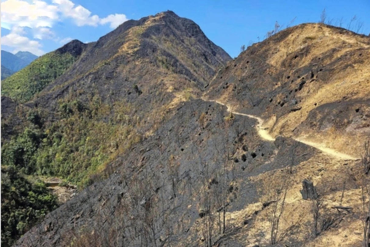 Đã dập tắt hoàn toàn cháy rừng tại Lào Cai