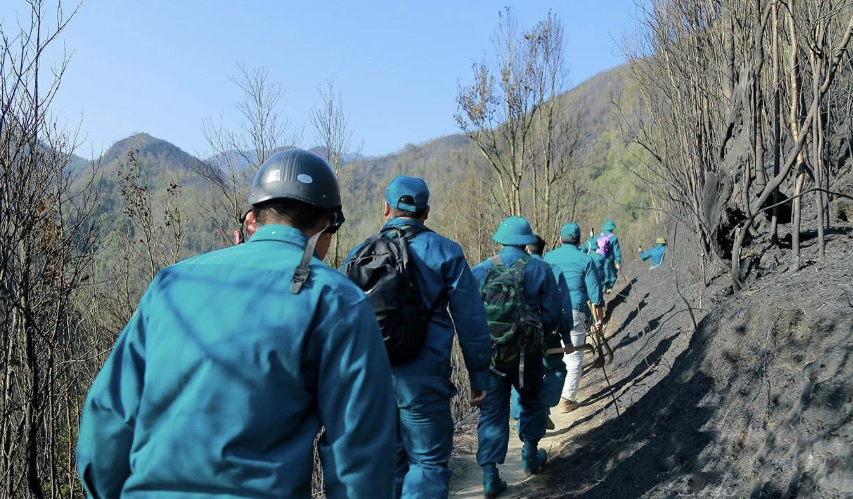 Đã dập tắt hoàn toàn cháy rừng tại Lào Cai