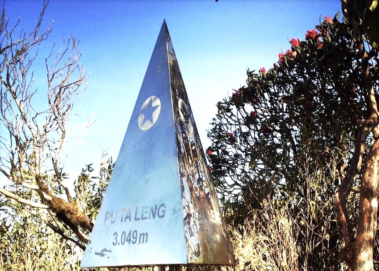 Rực sắc hoa đỗ quyên trên đỉnh Pu Ta Leng