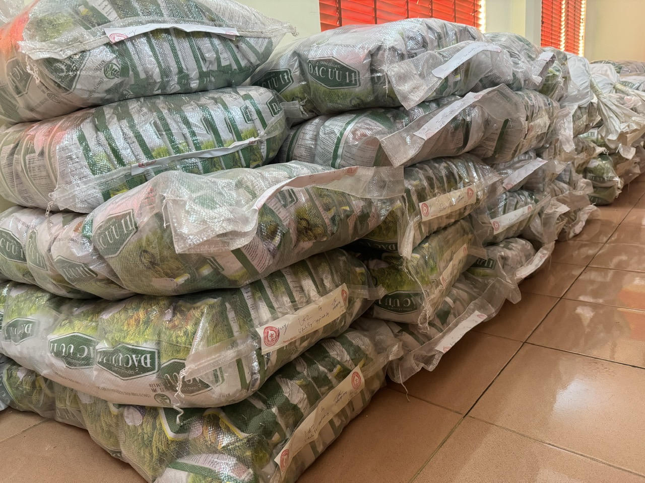 Khởi tố kỹ sư nông nghiệp bán gần 4 tấn thóc giống giả thu lời gấp 7 lần