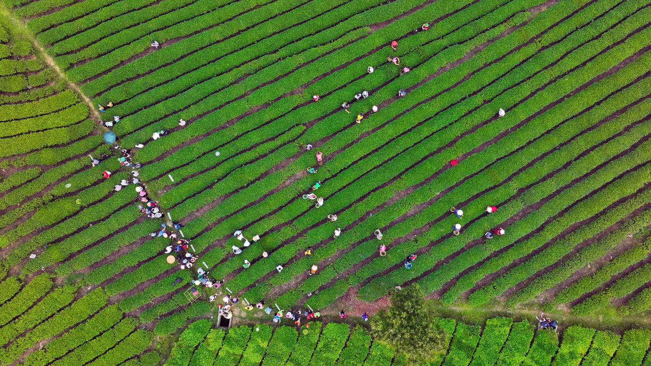 Sơn nữ Lai Châu khoe tài trong Lễ Hội Trà