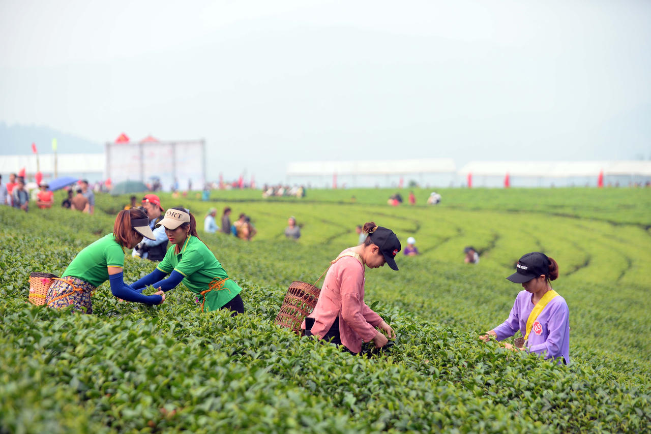 Sơn nữ Lai Châu khoe tài trong Lễ Hội Trà