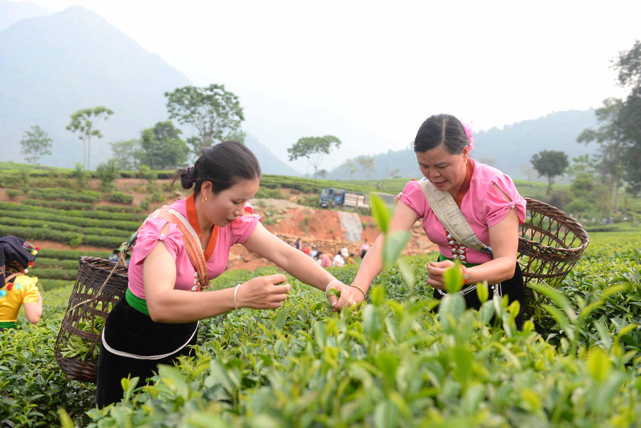 Sơn nữ Lai Châu khoe tài trong Lễ Hội Trà