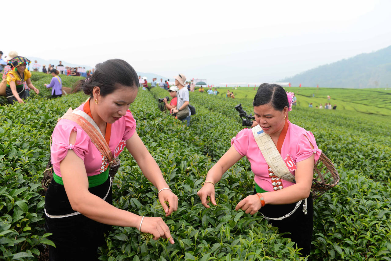 Sơn nữ Lai Châu khoe tài trong Lễ Hội Trà
