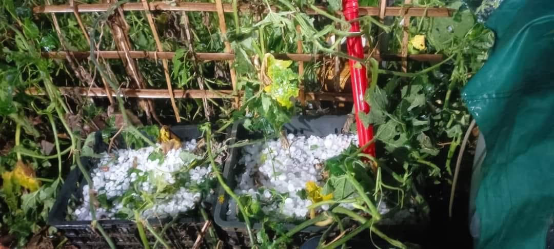 Mưa đá trắng một vùng ở Sơn La, Lào Cai