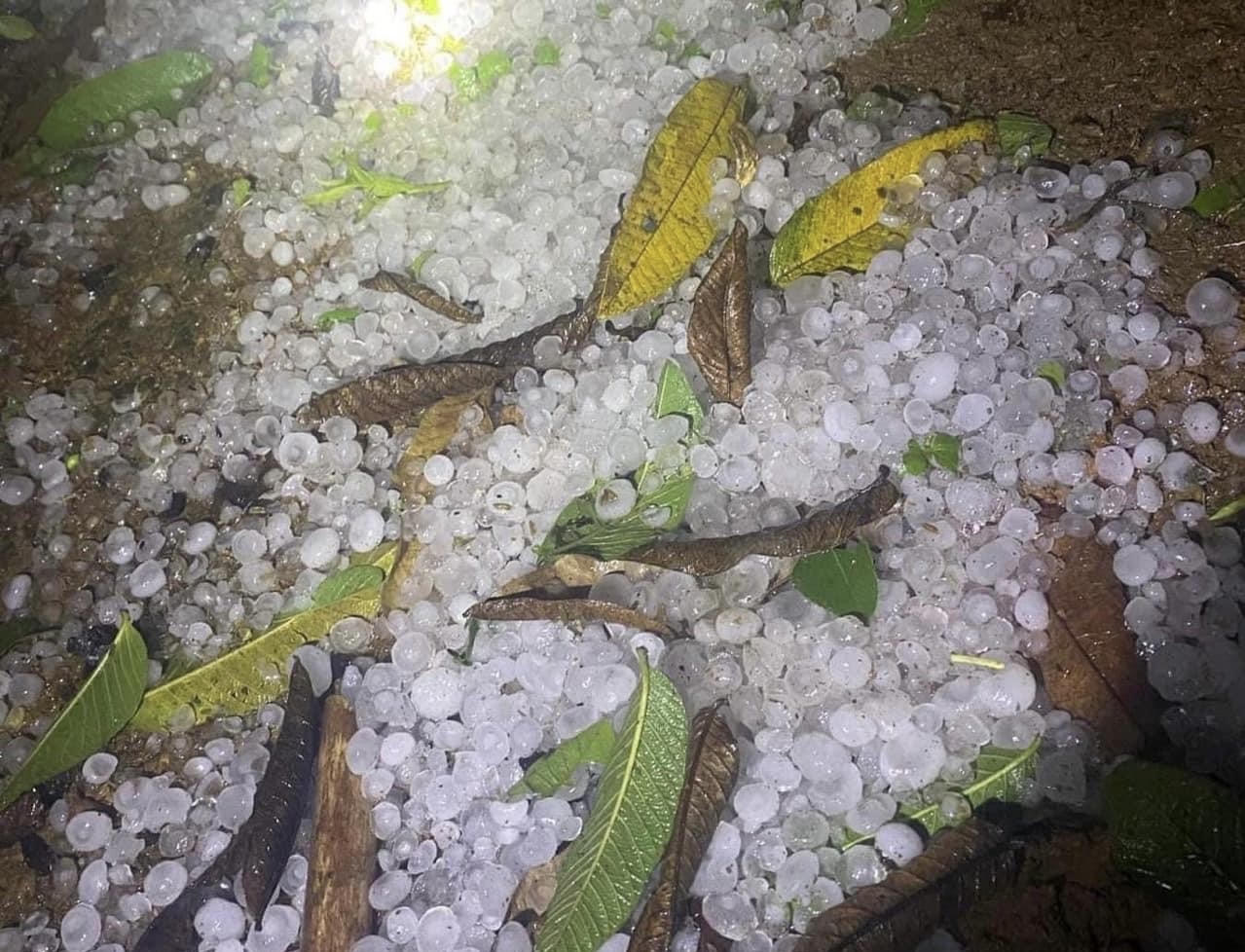 Mưa đá, giông lốc trút xuống Lào Cai trong đêm