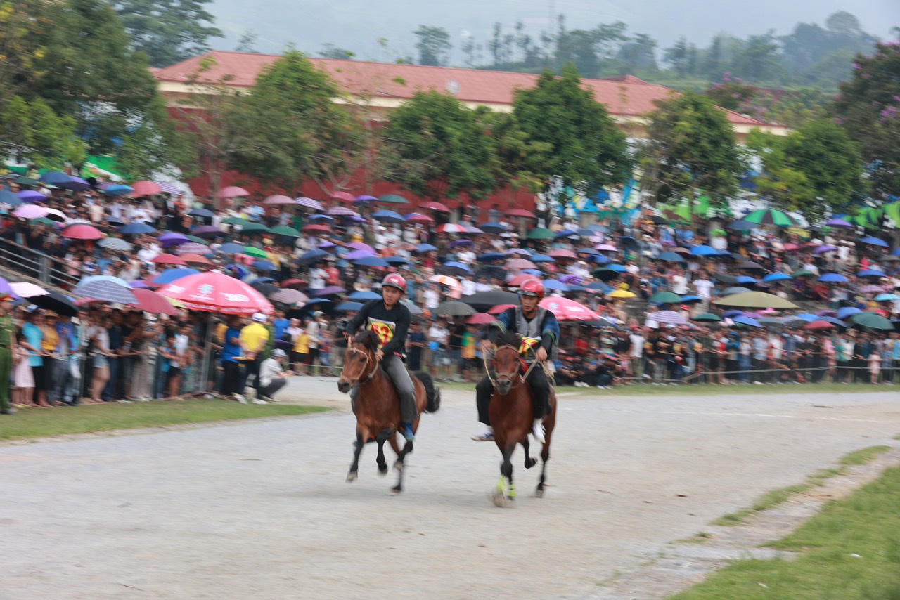 Sôi nổi Giải đua ngựa truyền thống huyện Bắc Hà mở rộng lần thứ 17