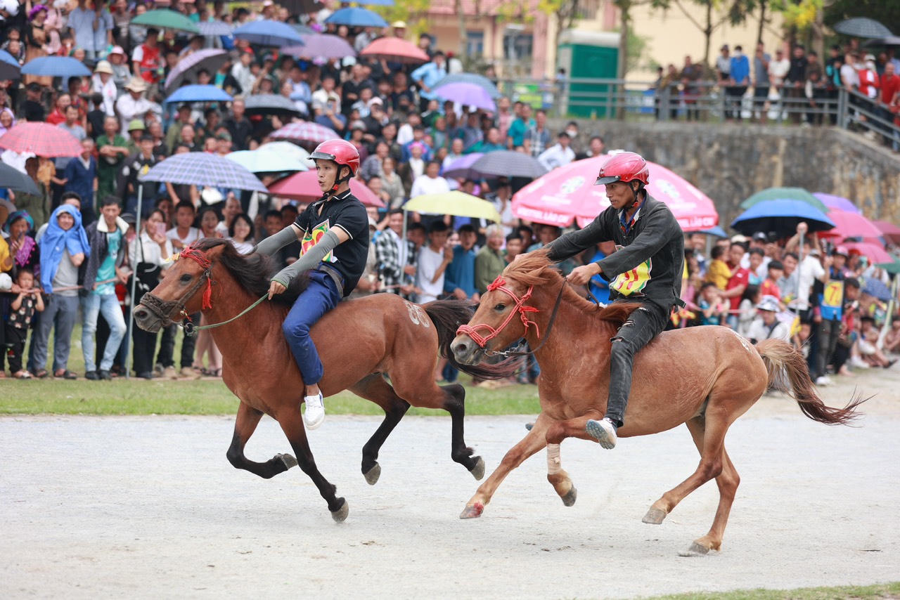 Sôi nổi Giải đua ngựa truyền thống huyện Bắc Hà mở rộng lần thứ 17