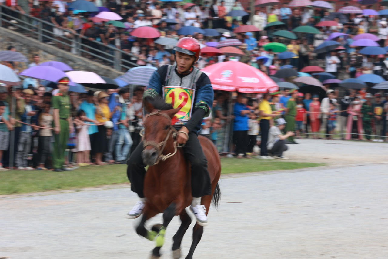 Sôi nổi Giải đua ngựa truyền thống huyện Bắc Hà mở rộng lần thứ 17