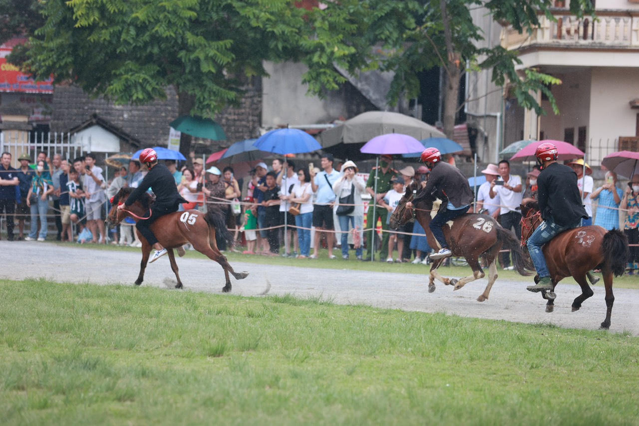 Sôi nổi Giải đua ngựa truyền thống huyện Bắc Hà mở rộng lần thứ 17