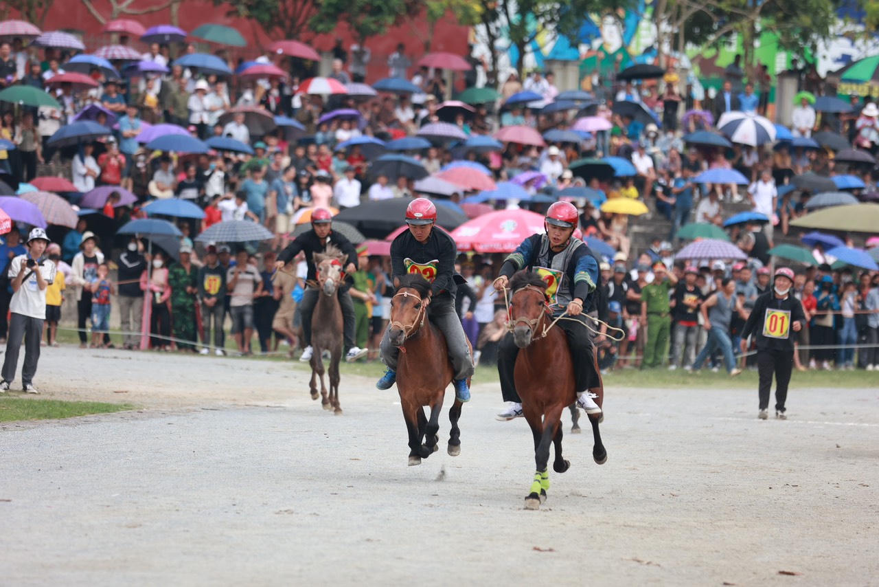 Sôi nổi Giải đua ngựa truyền thống huyện Bắc Hà mở rộng lần thứ 17