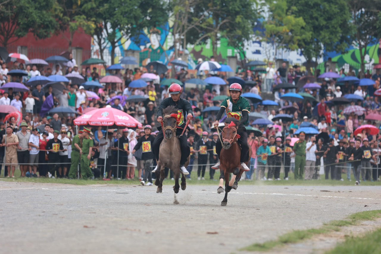 Sôi nổi Giải đua ngựa truyền thống huyện Bắc Hà mở rộng lần thứ 17