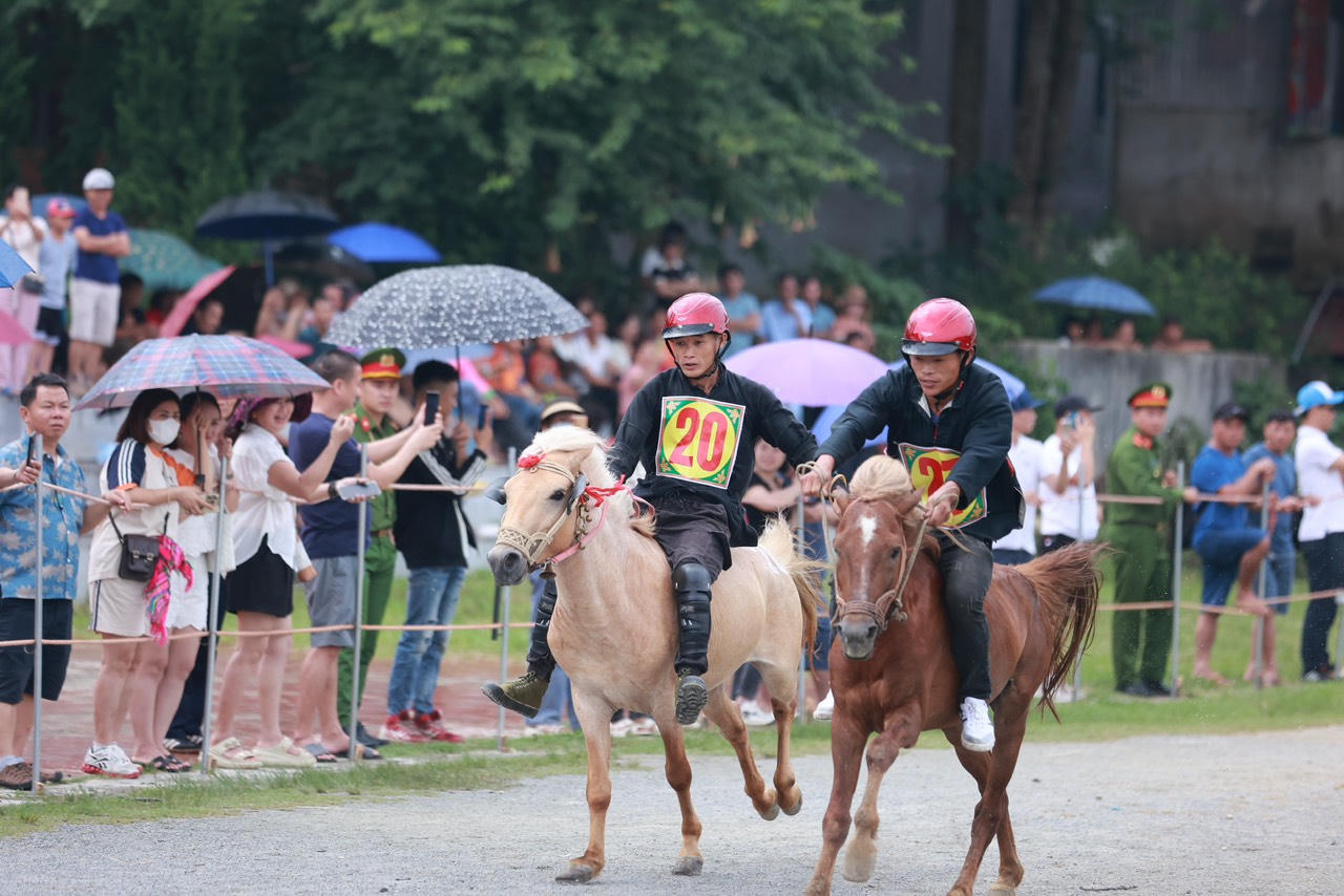 Sôi nổi Giải đua ngựa truyền thống huyện Bắc Hà mở rộng lần thứ 17
