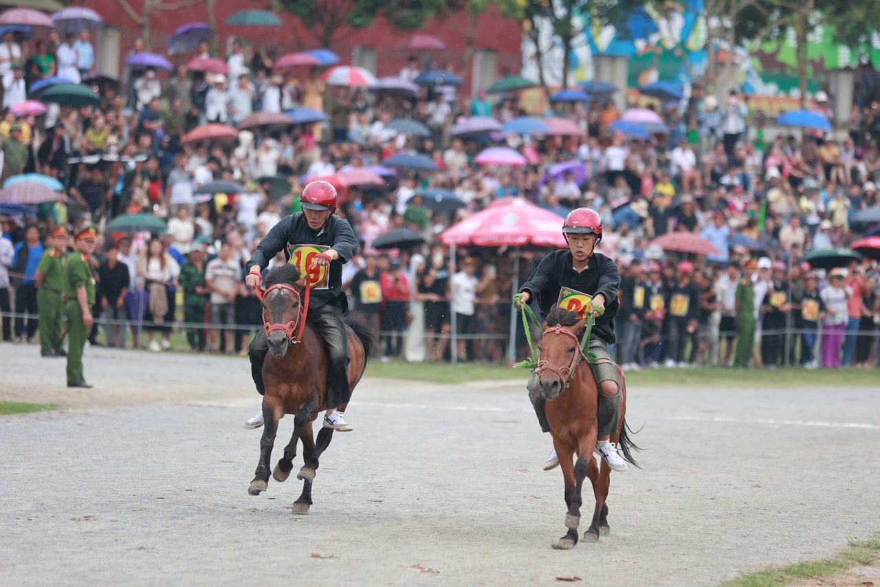 Sôi nổi Giải đua ngựa truyền thống huyện Bắc Hà mở rộng lần thứ 17
