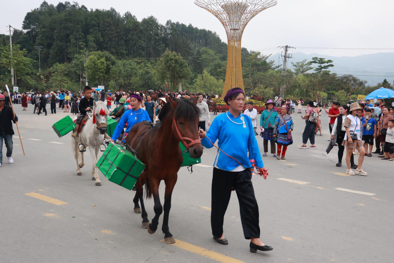 Sôi nổi Giải đua ngựa truyền thống huyện Bắc Hà mở rộng lần thứ 17