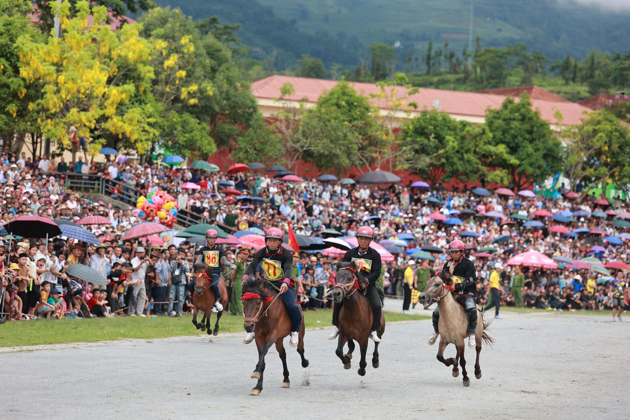Nài ngựa huyện Bát Xát giành ngôi cao nhất tại Giải đua ngựa truyền thống Bắc Hà 2024