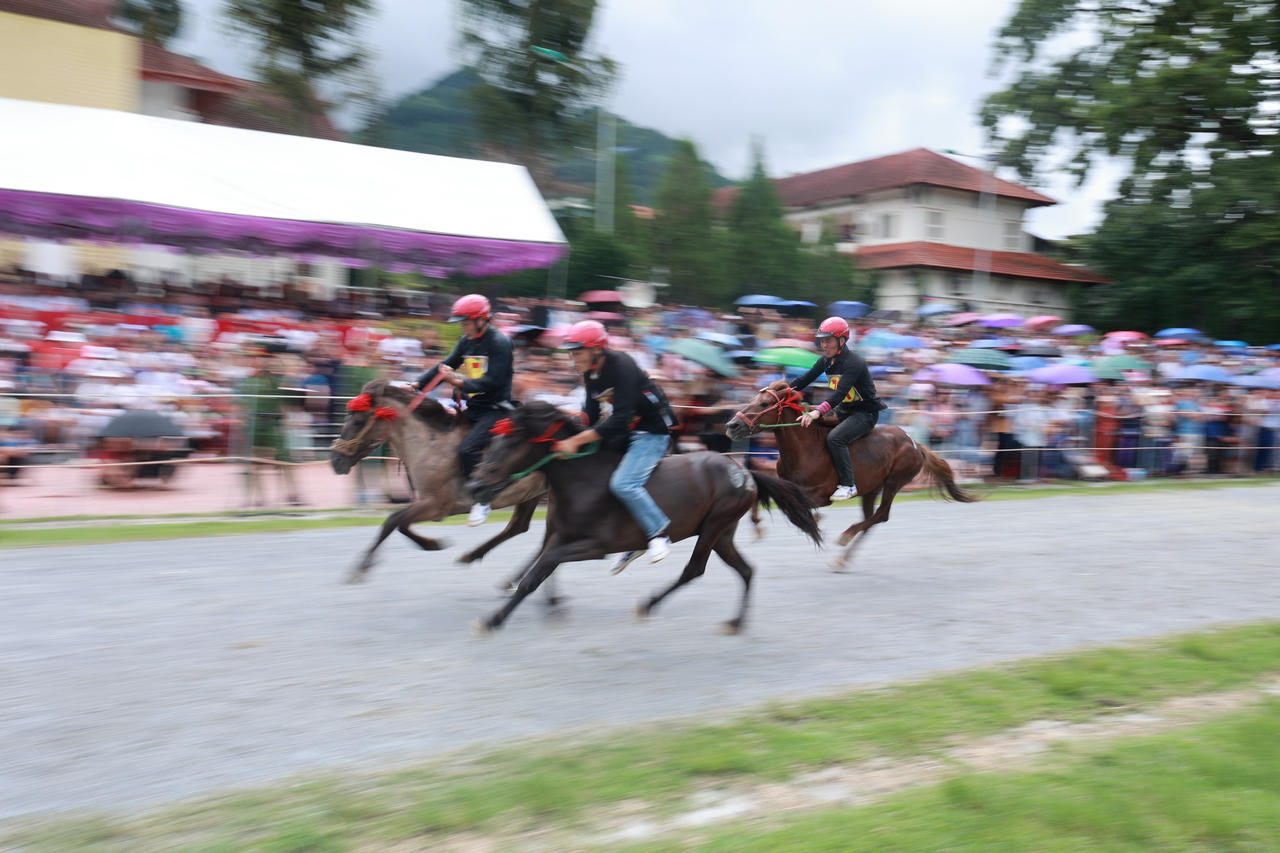 Nài ngựa huyện Bát Xát giành ngôi cao nhất tại Giải đua ngựa truyền thống Bắc Hà 2024