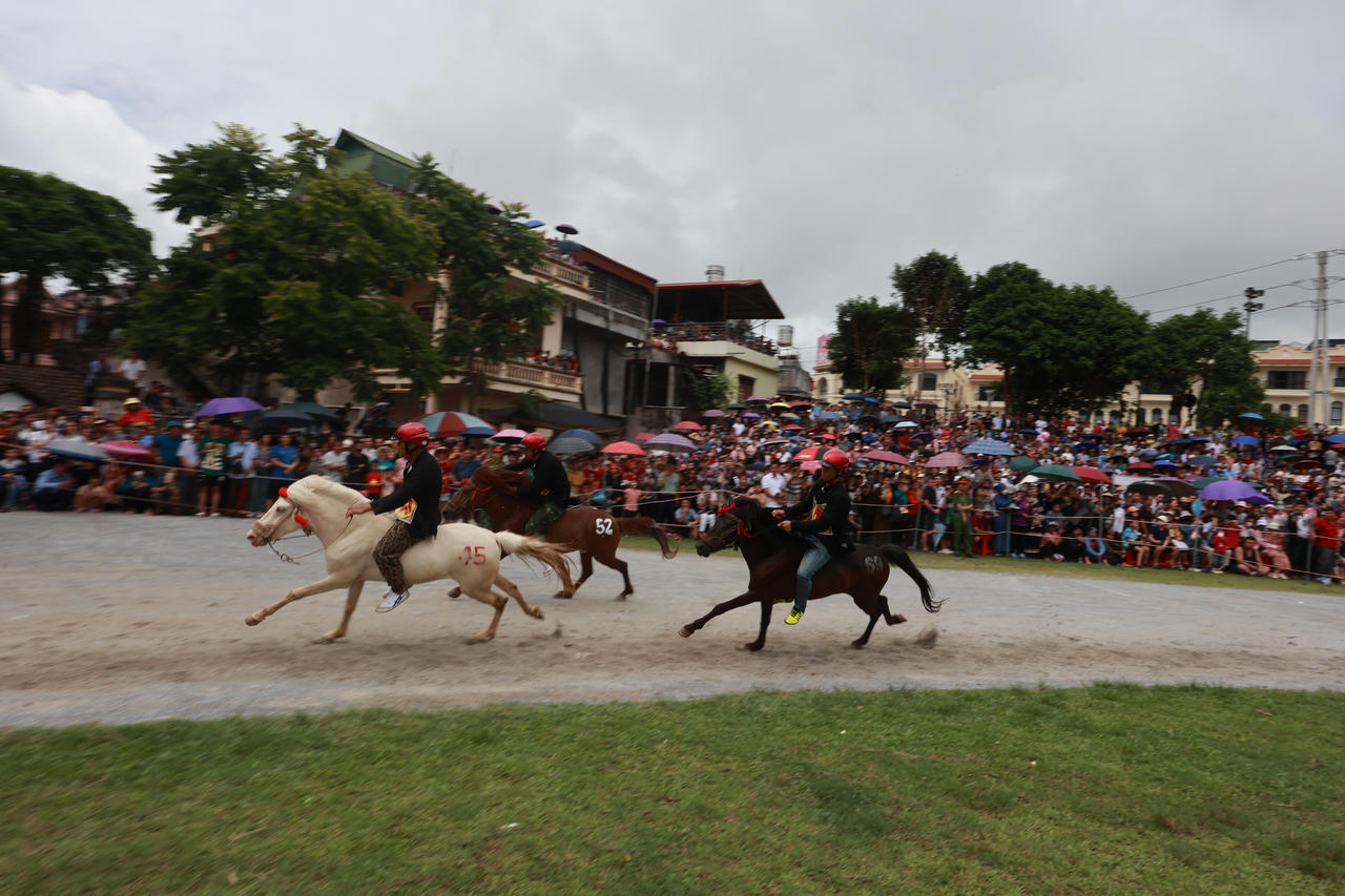 Nài ngựa huyện Bát Xát giành ngôi cao nhất tại Giải đua ngựa truyền thống Bắc Hà 2024