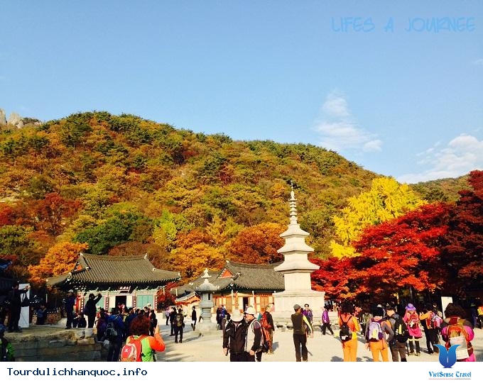 Giản lược thủ tục visa Hàn Quốc