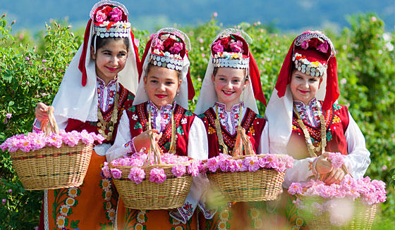 1000 cây hồng Bulgaria khoe sắc tại Lễ hội Hoa hồng