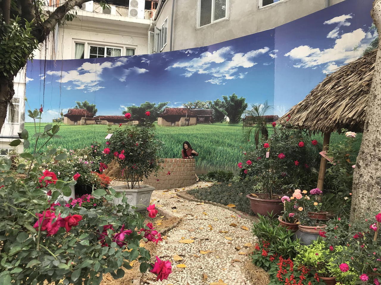 Lễ hội hoa hồng Bulgaria đã sẵn sàng “hút hồn” người yêu hoa