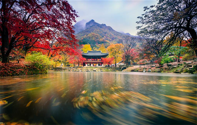 Liên hoan ảnh 'Đất nước và Con người bè bạn quốc tế'