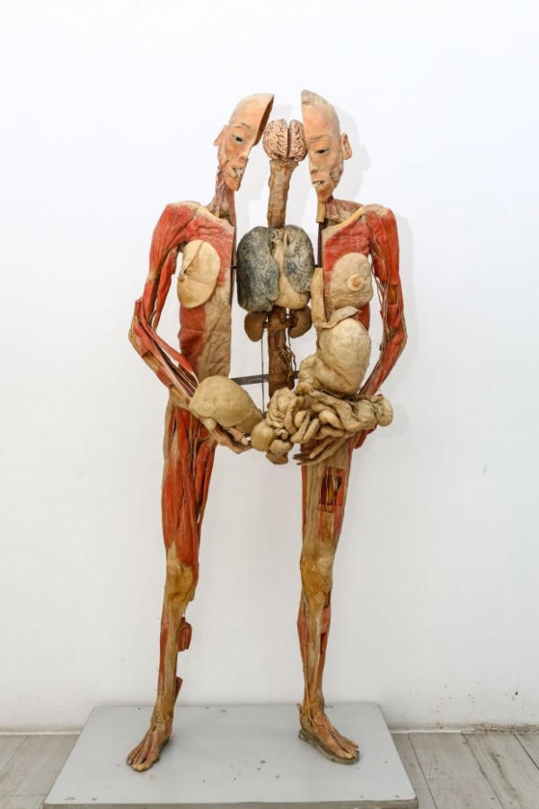 Yêu cầu giải trình về triển lãm 'Sự bí ẩn đặc biệt của cơ thể người'