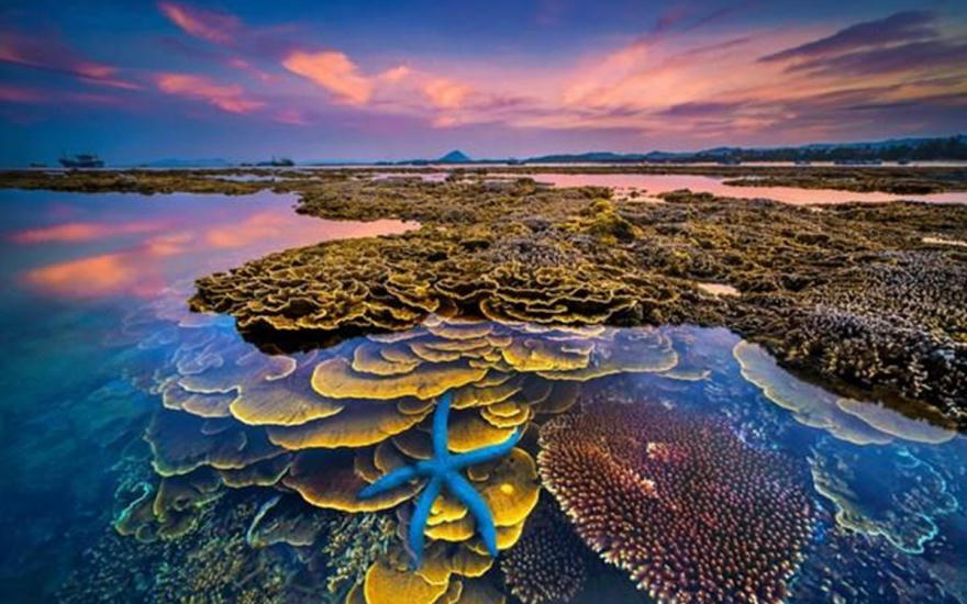 Phát động cuộc thi ảnh nghệ thuật du lịch “Khám phá Việt Nam”