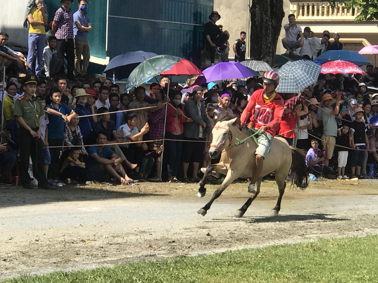 Kị sĩ Vàng Văn Giang giành Cup vô địch Giải đưa ngựa Bắc Hà 2020