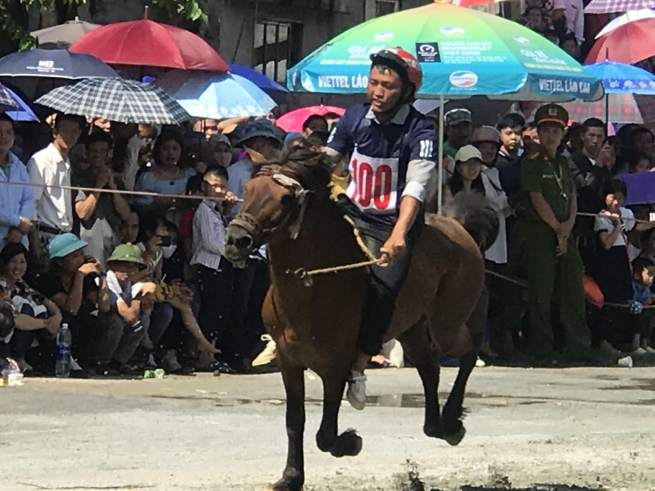 Kị sĩ Vàng Văn Giang giành Cup vô địch Giải đưa ngựa Bắc Hà 2020