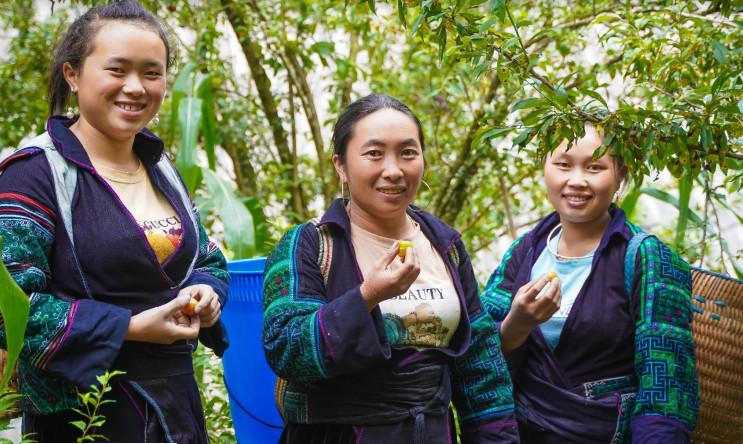 Ngành cà phê và rau quả thân thiện với môi trường