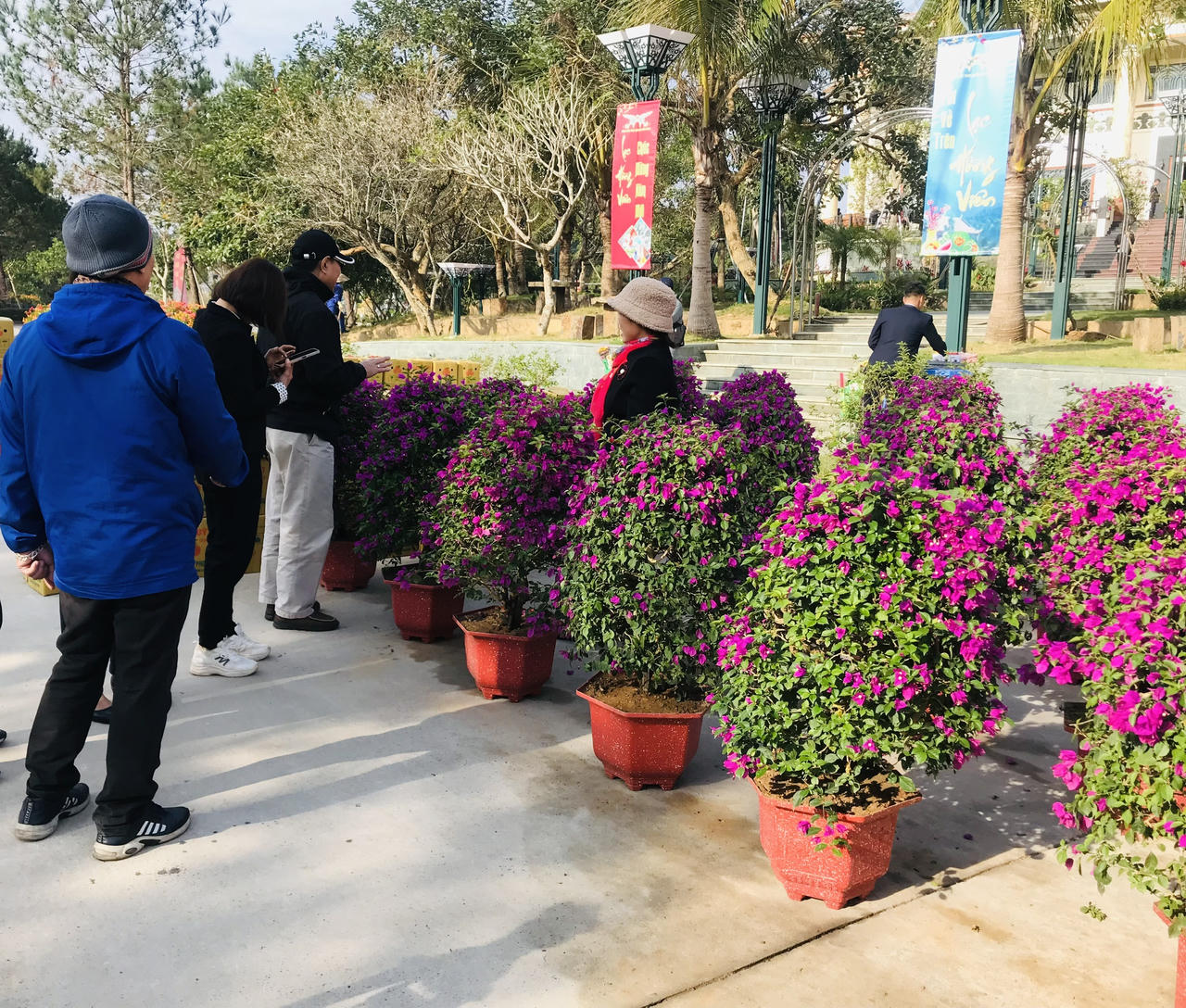 Nhộn nhịp hội chợ hoa Tết, nhạc cổ truyền dành cho… người đã khuất