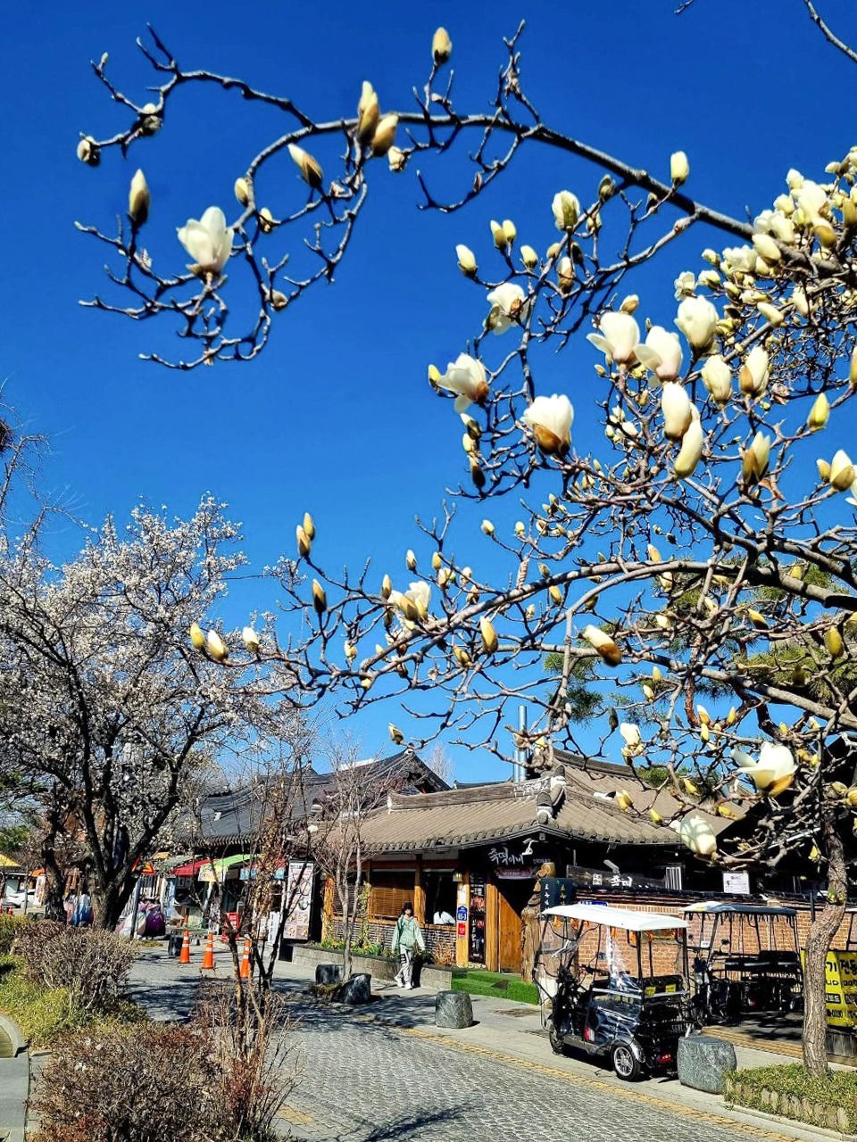 Tour du lịch Hàn Quốc miễn visa hút khách dịp 30/4-1/5